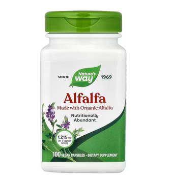 Alfalfa