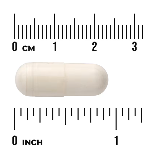 White Kidney Bean Extract 500 mg Swanson 180 capsules